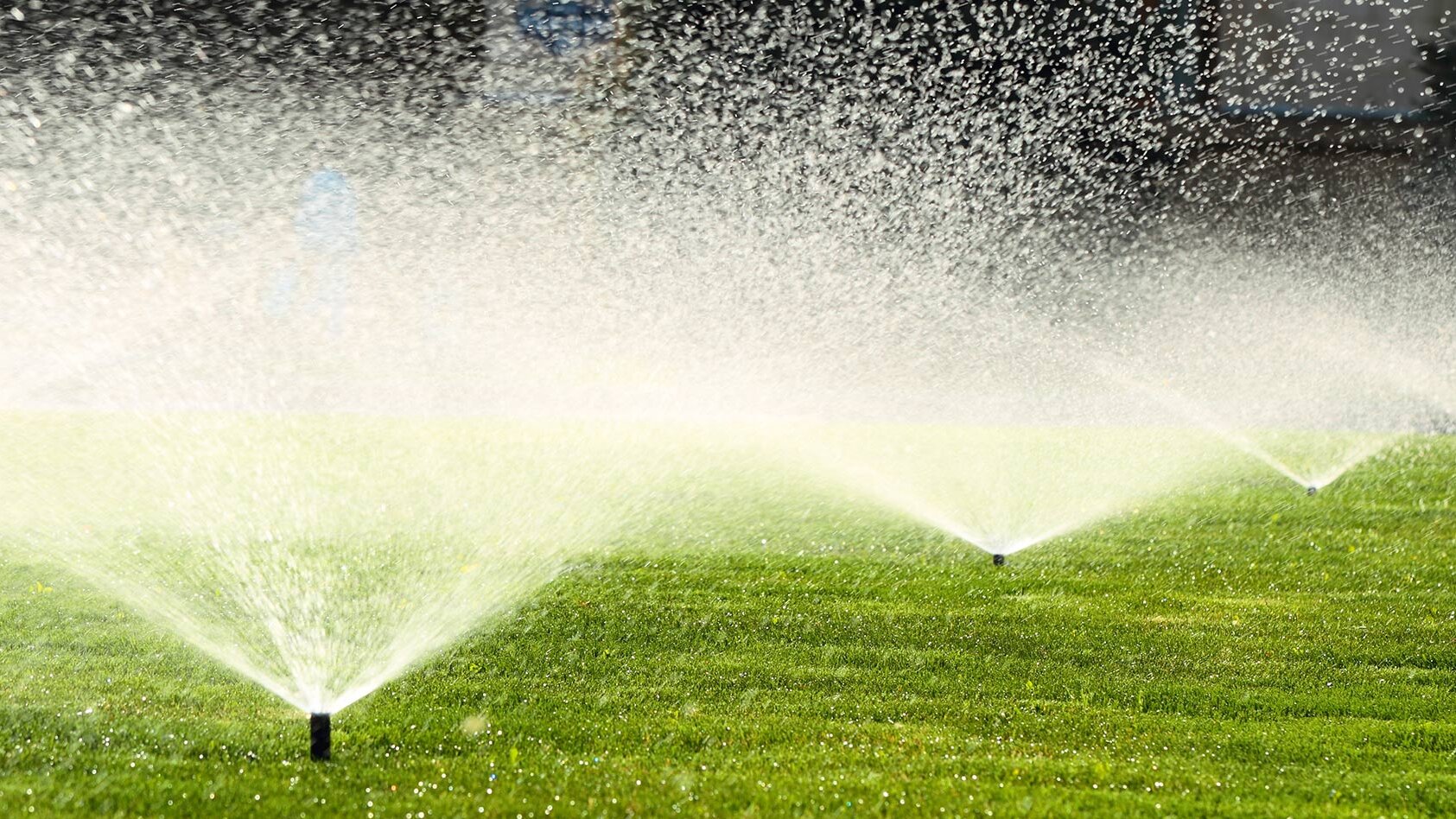 Sprinklersysteme im Einsatz